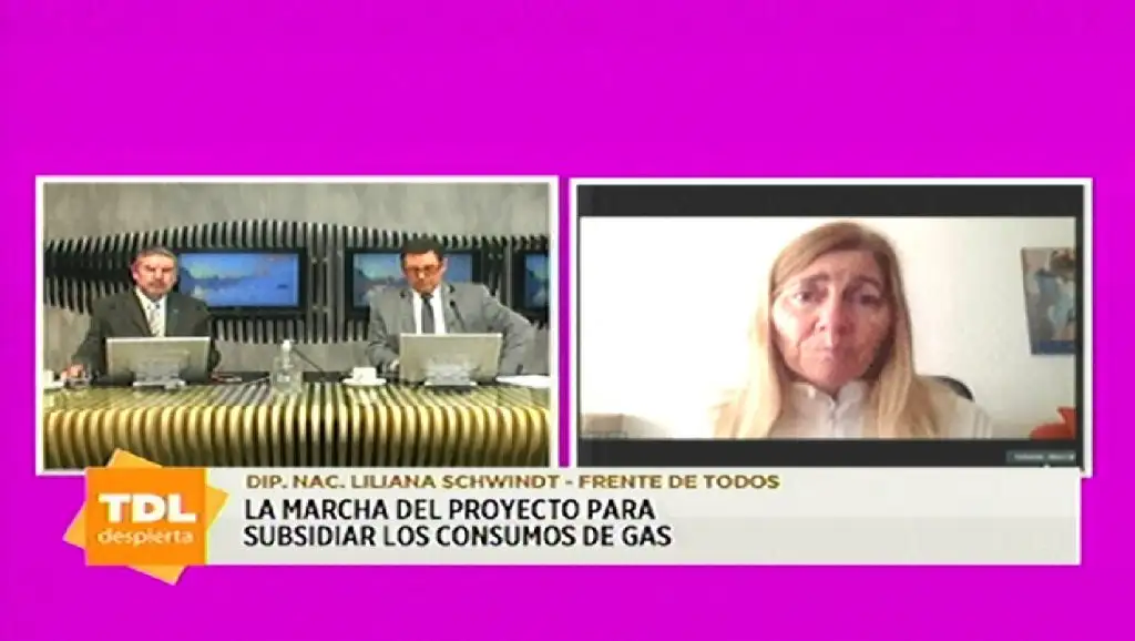 La marcha del proyecto para subsidiar los consumos de gas