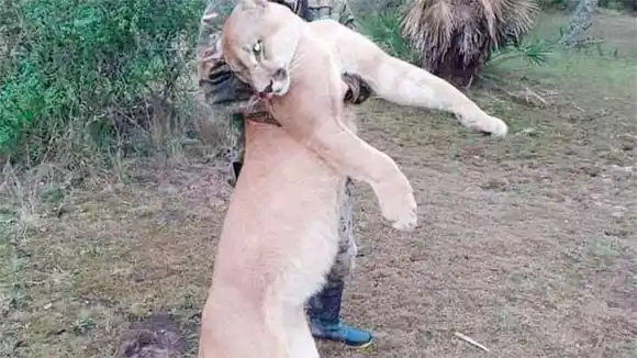Posó con un puma muerto y generó una ola de repudios: Allanaron su casa