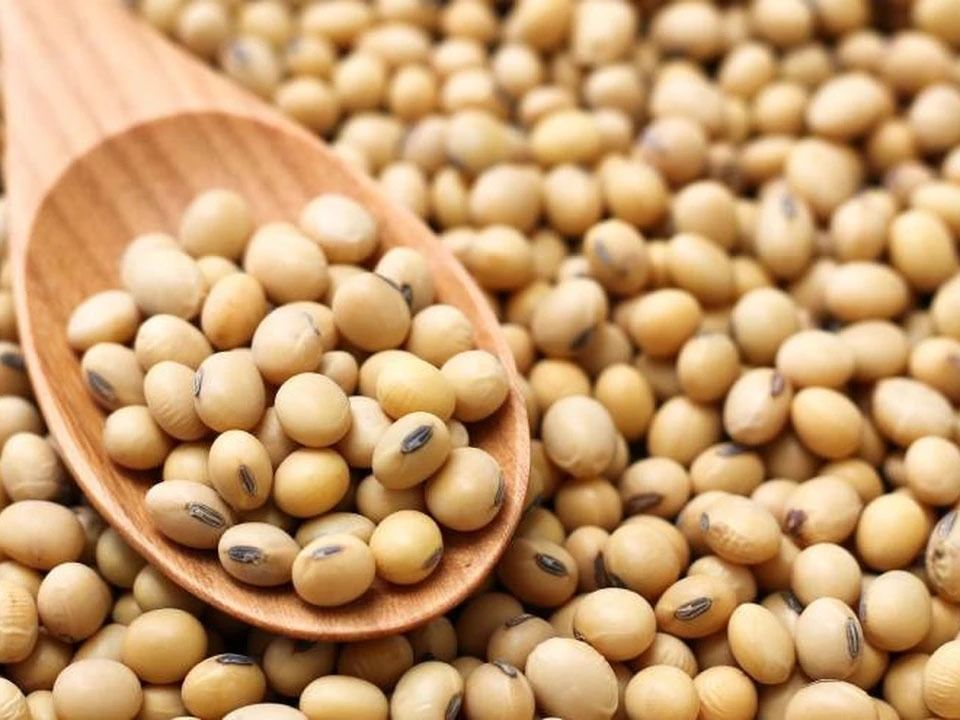 China va a comprar más soja en la Argentina y Uruguay