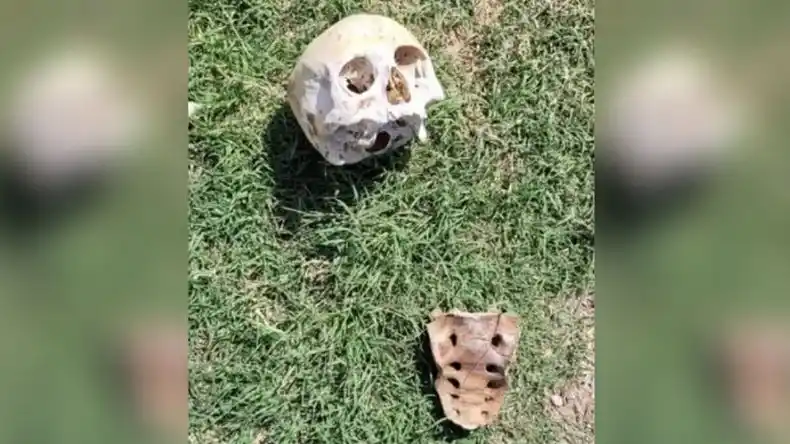 Macabro: encontraron restos humanos en plena calle