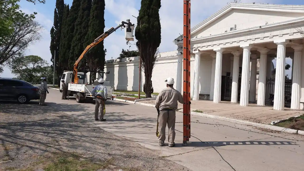 Cementerio: cortan ramas de los pinos para colocar luminarias