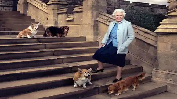 LOS ADORADOS perritos corgis de Isabel II fueron adoptados por su hijo Andrés