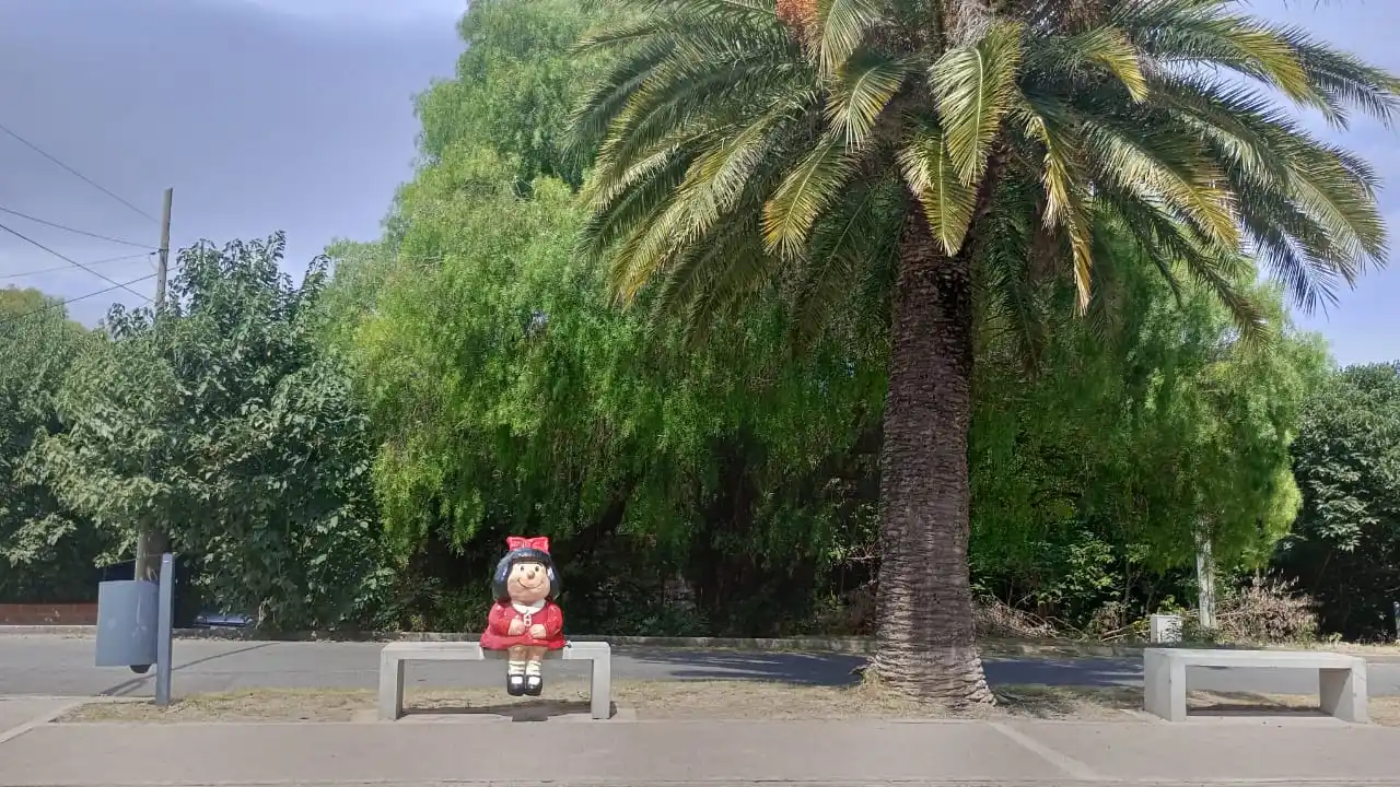 Mafalda ya tiene su banco en Victoria