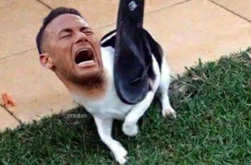 Brasil se despidió del Mundial y aparecieron los memes