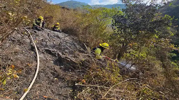 Reportan 23 incendios forestales y más de 51.000 hectáreas afectadas en todo el país