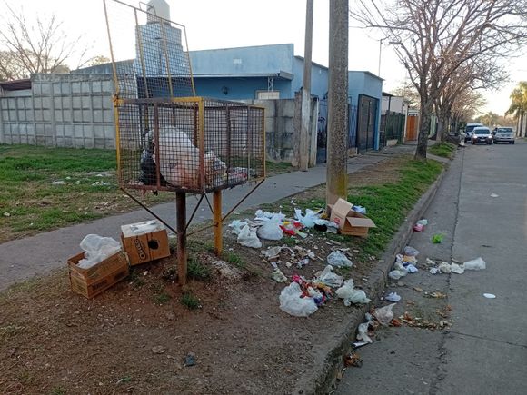 El Municipio recuerda la importancia de embolsar correctamente los residuos