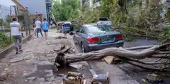 Mar del Plata: un violento temporal generó destrozos por la madrugada