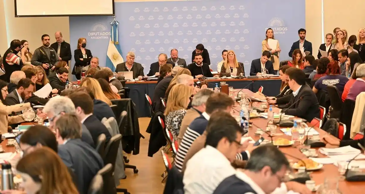 Diputados: postergan hasta el próximo jueves el dictamen del proyecto para proteger los humedales