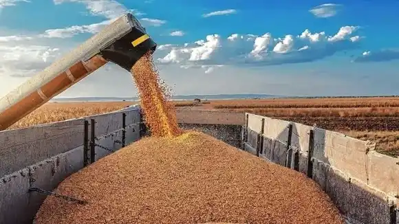 La presidenta de la Sociedad Rural de Rosario sobre el regreso de las retenciones: "Hay enojo"