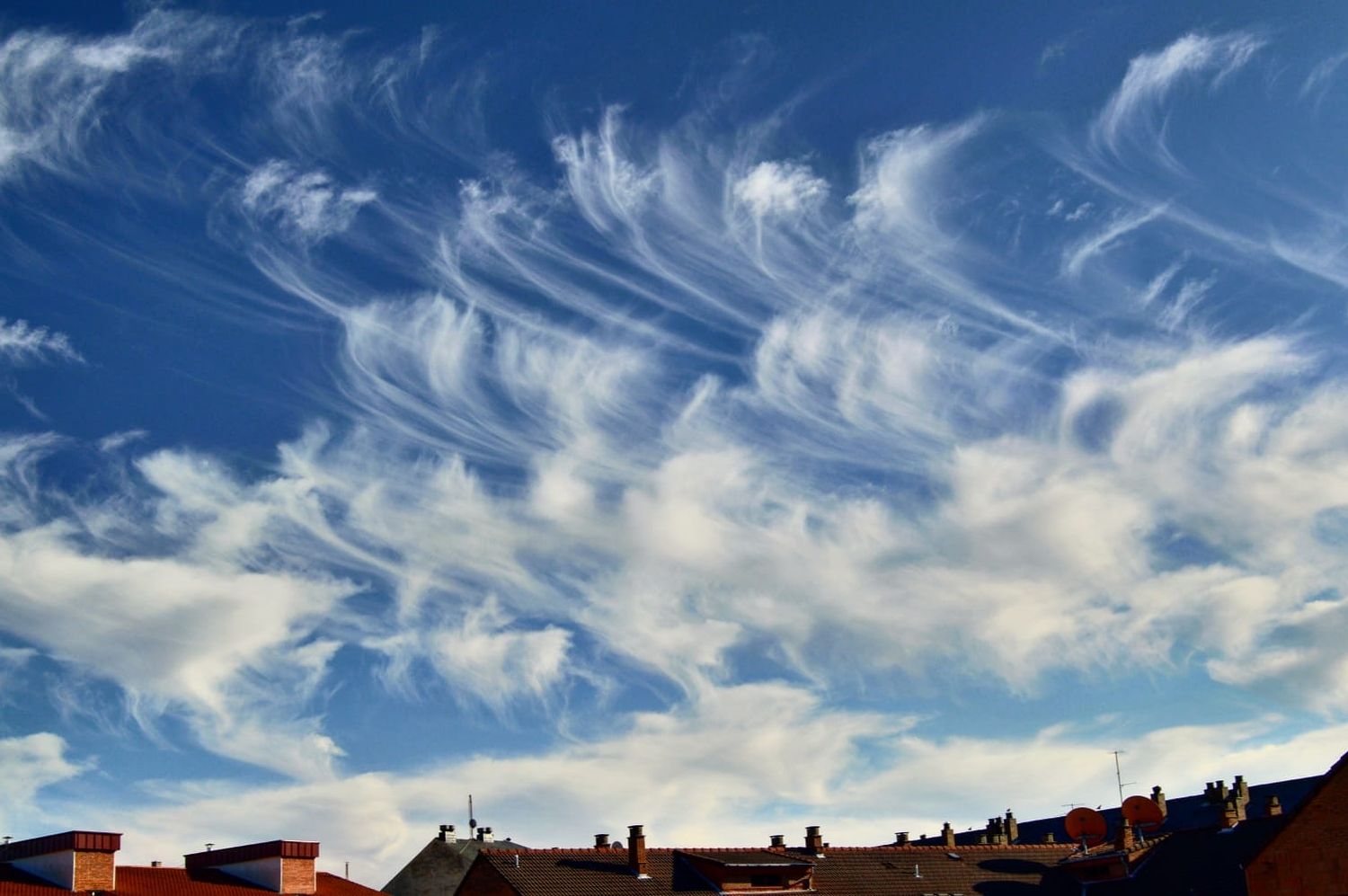 "Los algodones del cielo"