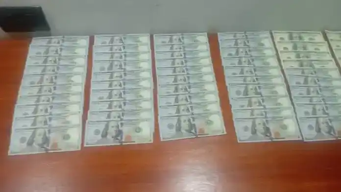 Robó 16.000 dólares en una casa, hizo unas compras y se fue a alojar a las termas