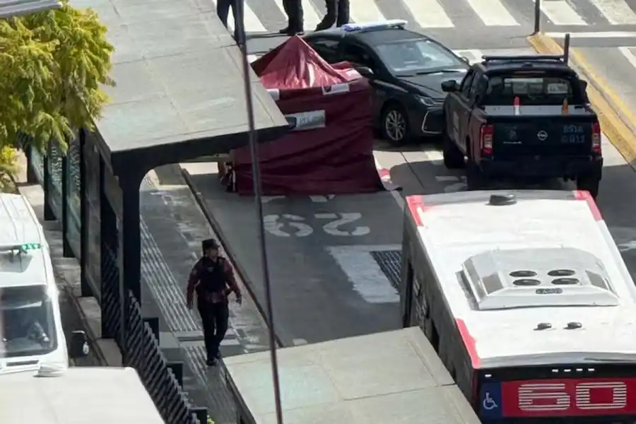 Conmoción por la muerte de una docente de la UNER: fue atropellada por un colectivo