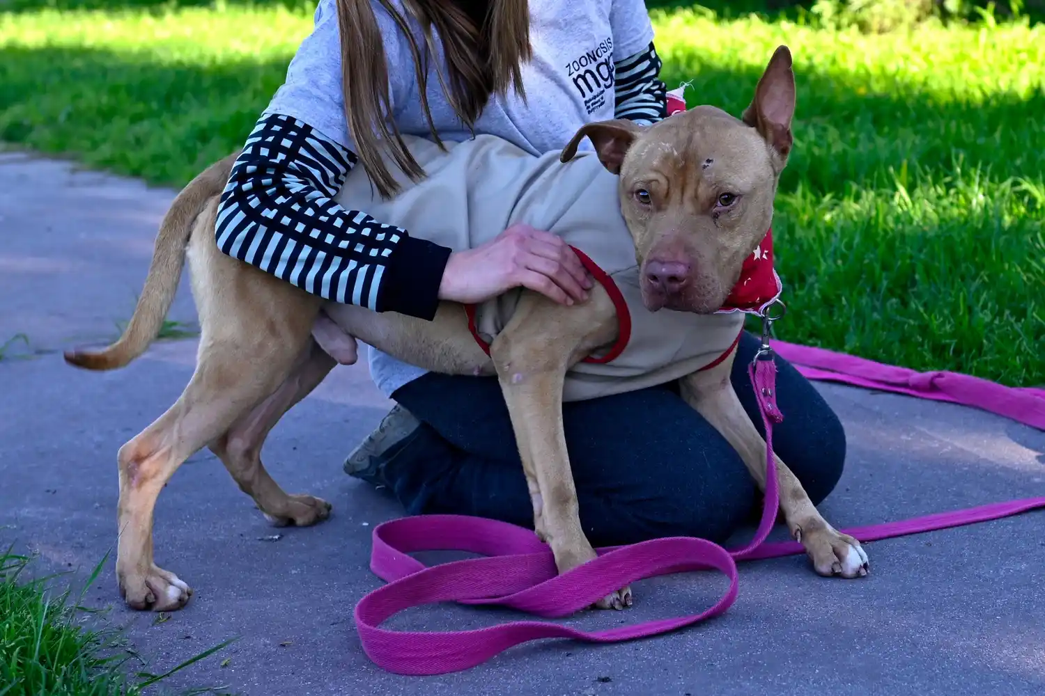 Para optimizar la accesibilidad, se admitirá un animal por persona.