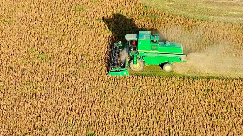 Ingreso extra de u$s 10.000 millones por el clima y precios internacionales