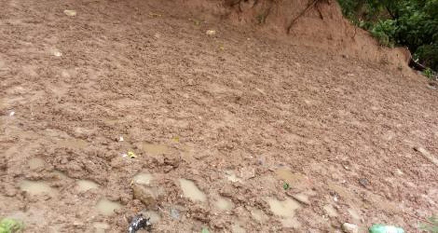 Vacas en La Tosquera