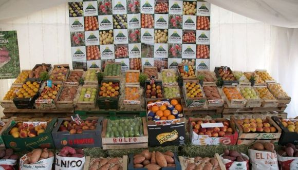 San Pedro tiene su stand en Expoagro 2023