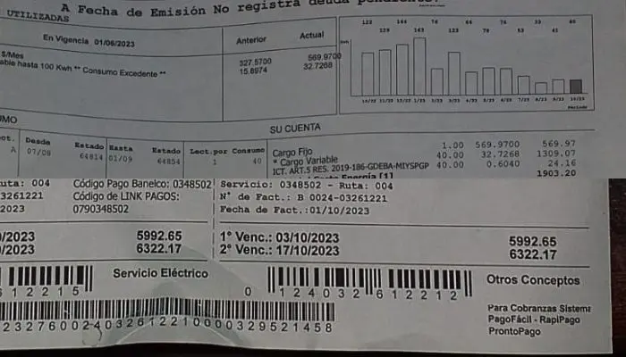 “Mirá lo que pago de luz y fijate el consumo”