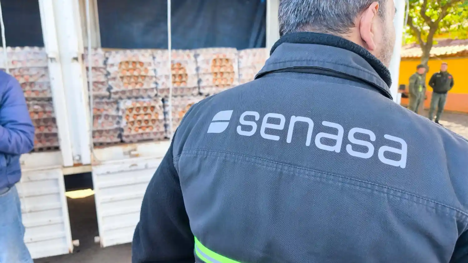 Decomisan más de 57.600 Huevos por contrabando y riesgo sanitario