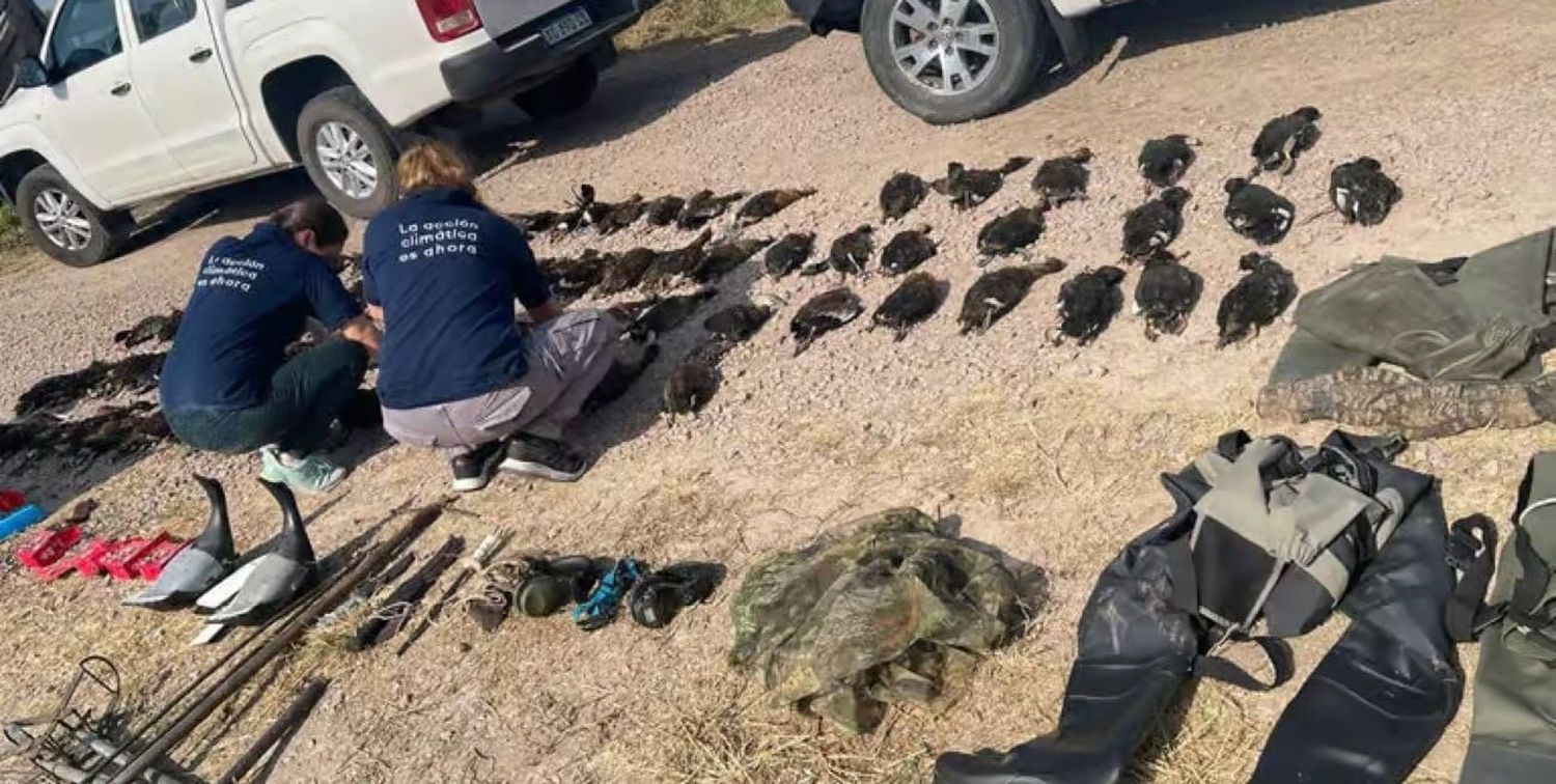 Durante el operativo policial detectaron 84 patos muertos, armas y otros elementos de caza.