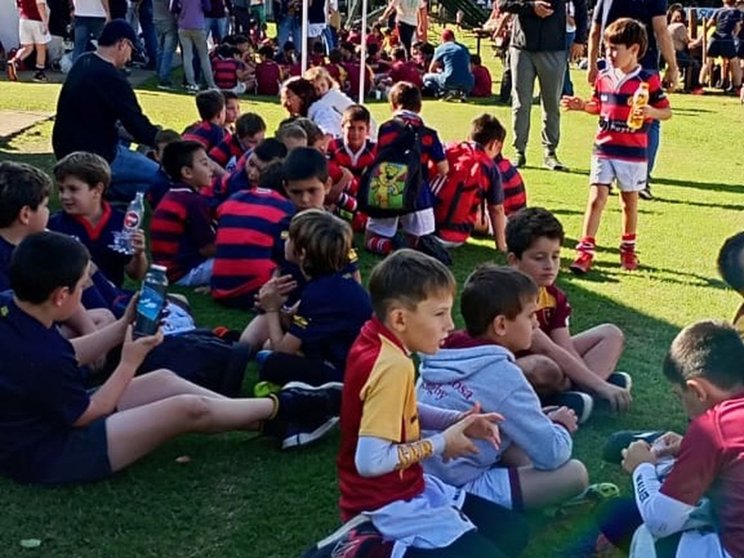 Rugby infantil - 4
