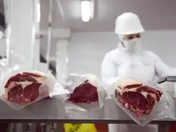 Por los altos precios internacionales, las exportaciones de carne llegarán a los USD 3.700 millones este año