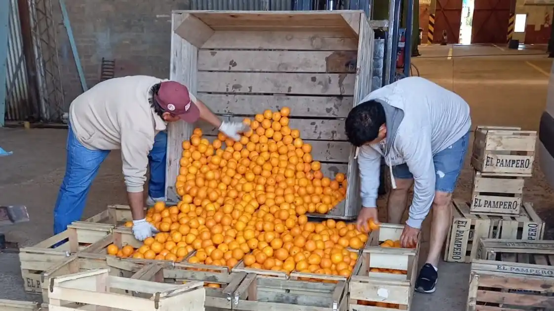 Trabajadores rurales