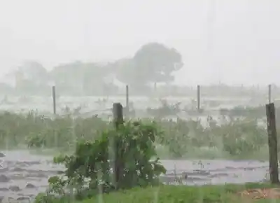 Lluvias dispares en la ciudad y el departamento, con registros destacados en zonas rurales
