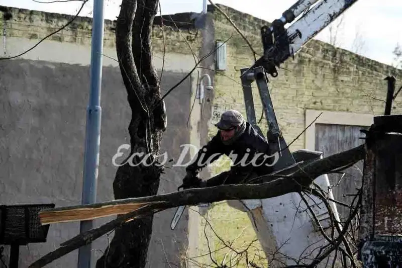 LOBERIA: Siguen trabajos de poda del arbolado urbano en Lobería