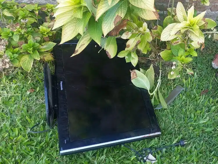 Intentó robar una casa, se lastimó al escapar y fue aprehendido tras ir al hospital