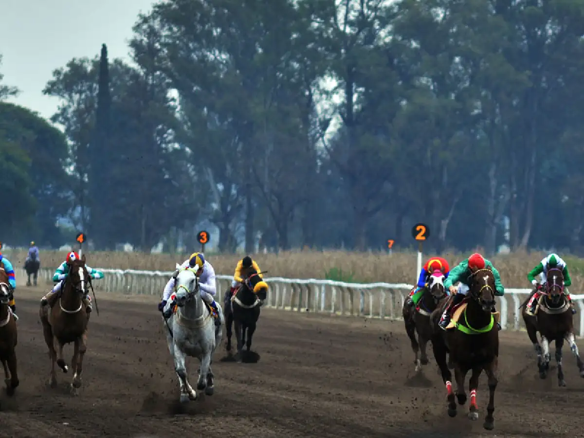 Se corre la "carrera del año"