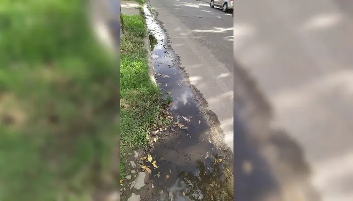 Pérdida de agua en Pellegrini al 2700