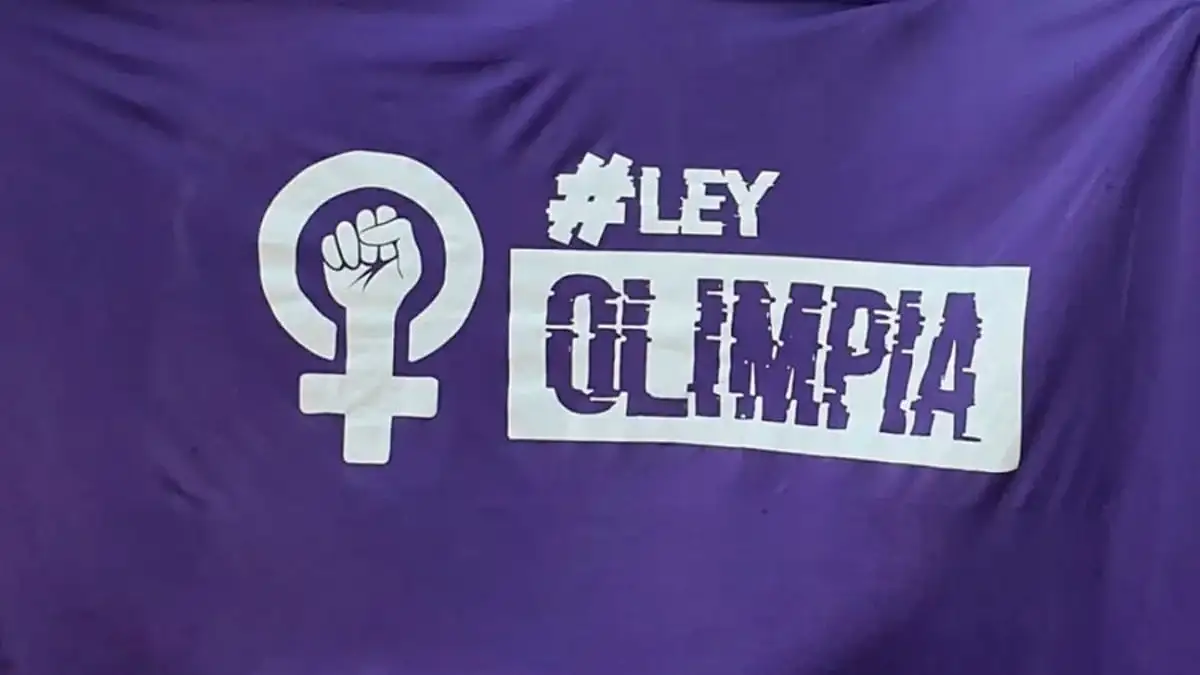 Entre Ríos oficializó su adhesión a la Ley Olimpia contra la violencia de género digital