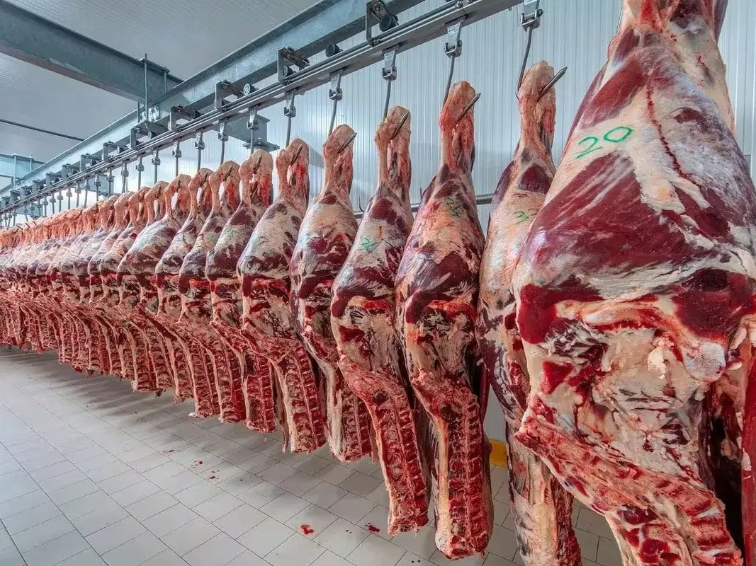 La faena vacuna cayó al nivel más bajo en décadas y el consumo de carne por habitante sigue en descenso
