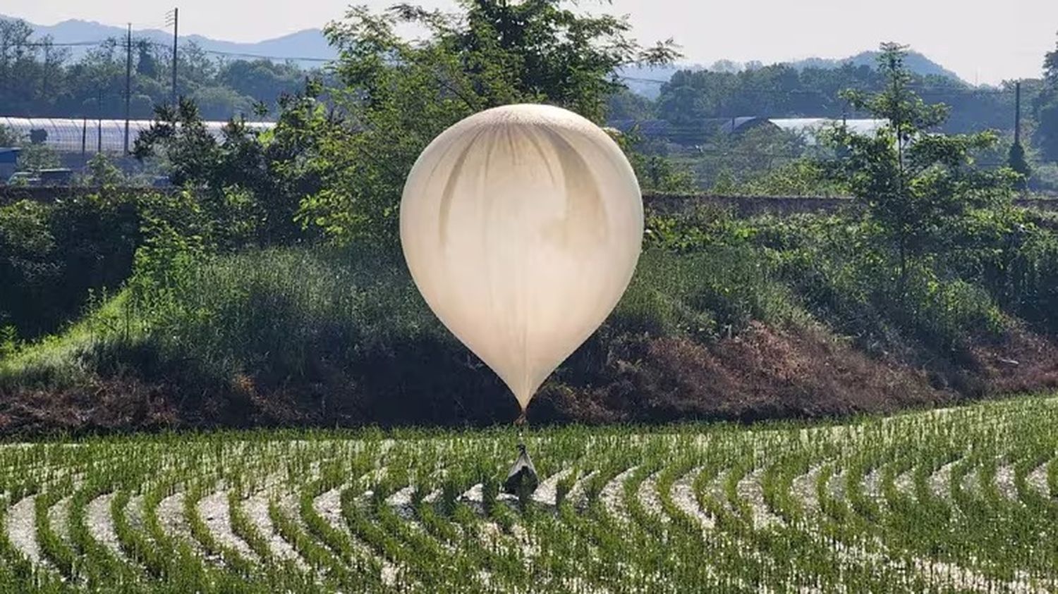 Uno de los globos enviados por Pyongyang aterriza en Corea del Sur