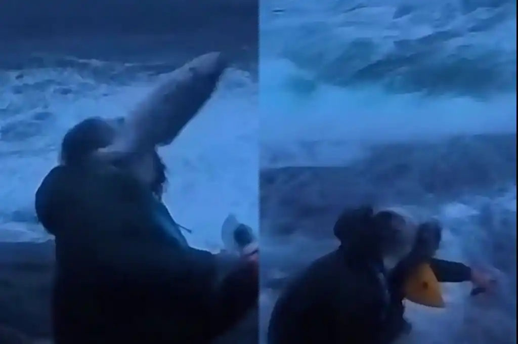 Pez golpea a un periodista