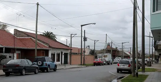En la ciudad hay un faltante de 17.000 árboles