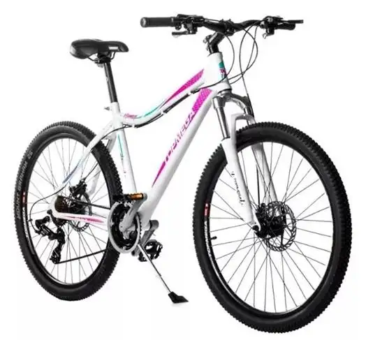 Le robaron la bicicleta que utilizaba para llevar a su hijo con autismo a la escuela