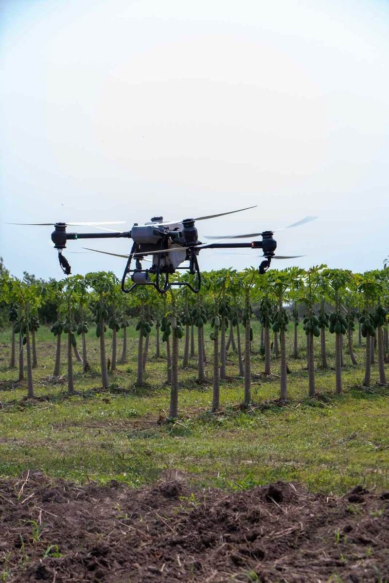 Jornada demostrativa sobre la implementación
de drones para la producción agrícola