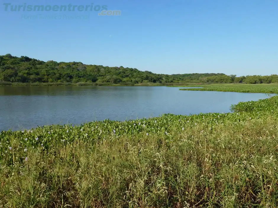 Parque Nacional Pre Delta: Un predio para disfrutar el contacto con la naturaleza