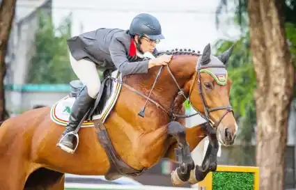 Equitación: se prepara la 4ª Edición del Concurso Internacional CSI1