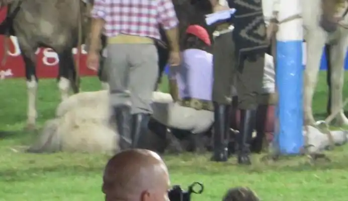 Sacrificaron un caballo que participaba del Festival de Jesús María
