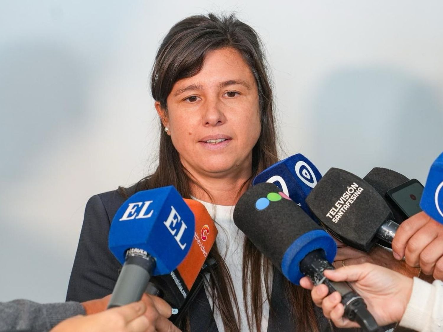 El Ministerio de Educación pide a los padres lleven a los chicos a las escuelas este miércoles