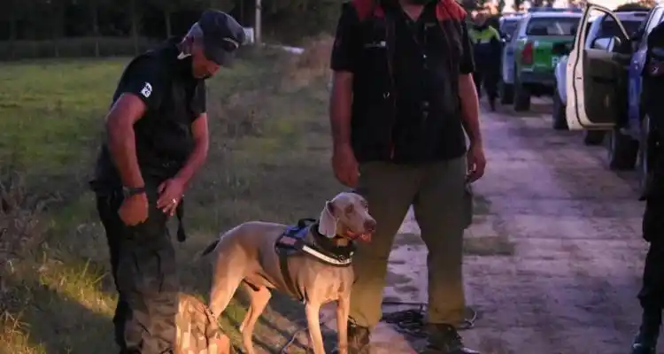 Búsqueda de Roberto Ramón Romero: Bruno olfateó la bicicleta y su reacción indica que el rastro es reciente