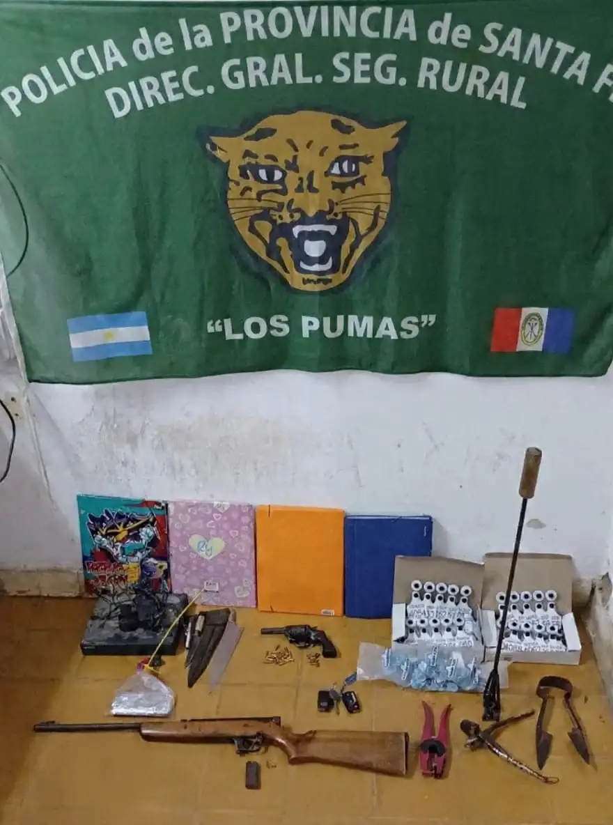 Recuperaron seis terneros y secuestraron dos armas de fuego durante allanamientos en la región - 2