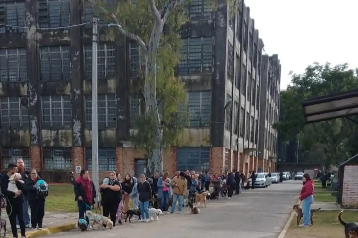 Vacunación antirrábica y desparacitación: atendieron a más de un centenar de mascotas