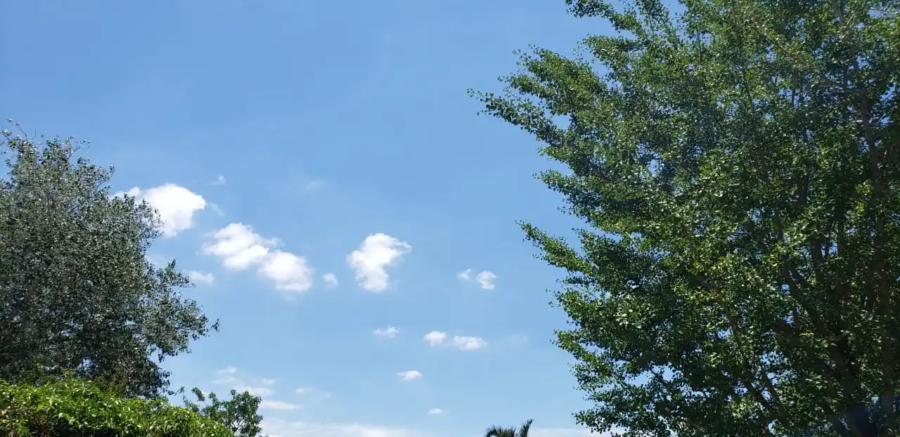 Calor, humedad, y probabilidad de lluvia para este domingo