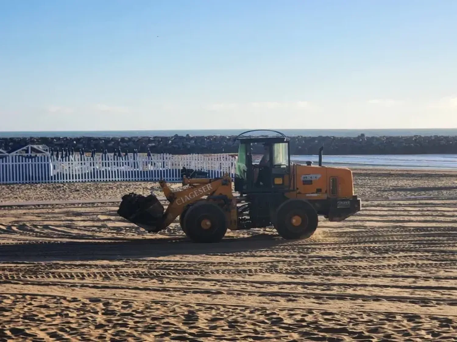 Mar del Plata: retiran algas de las playas con palas y camiones