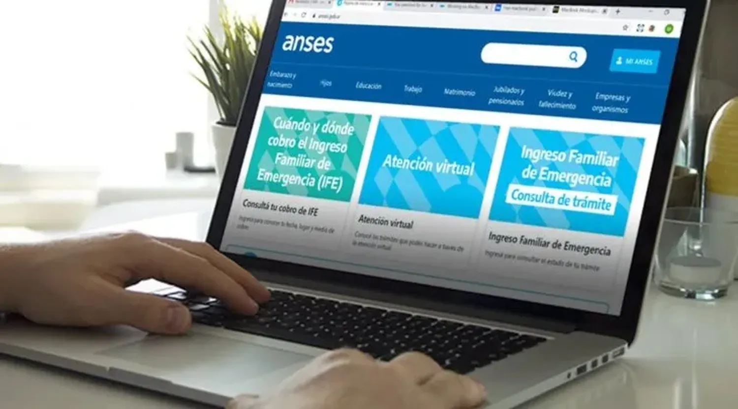 ANSES