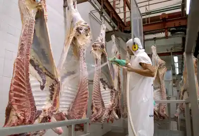 Se cobrará el servicio de faena a quienes realicen la actividad en la provincia de Buenos Aires.