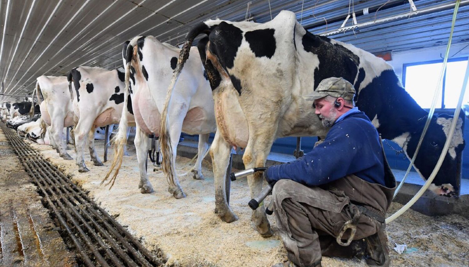 Este programa viene a ser un paliativo por la sequía que azotó al sector agropecuario.